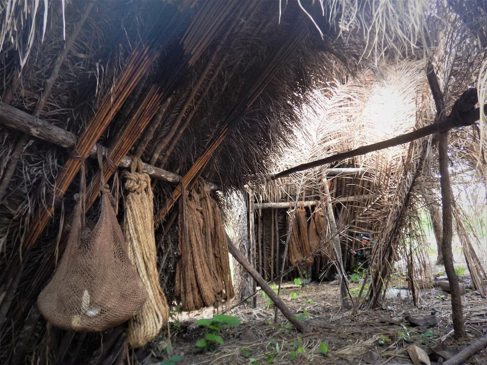 Imágenes inéditas muestran a una tribu de Brasil nunca antes vista