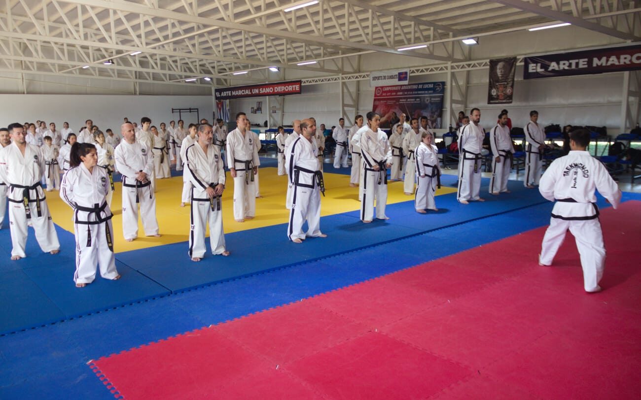 A hundred taekwondo athletes participated in the clinic of Diego Cabañas