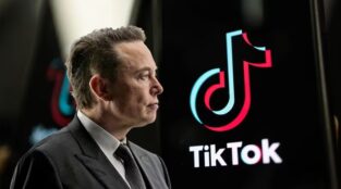 elon musk tiktok