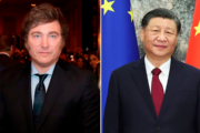 Milei se reúne con Xi Jinping en el marco del G20 imagen-6