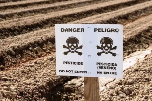 Veneno en los campos, cáncer en los niños: la conexión de pesticidas y enfermedades en Europa imagen-6