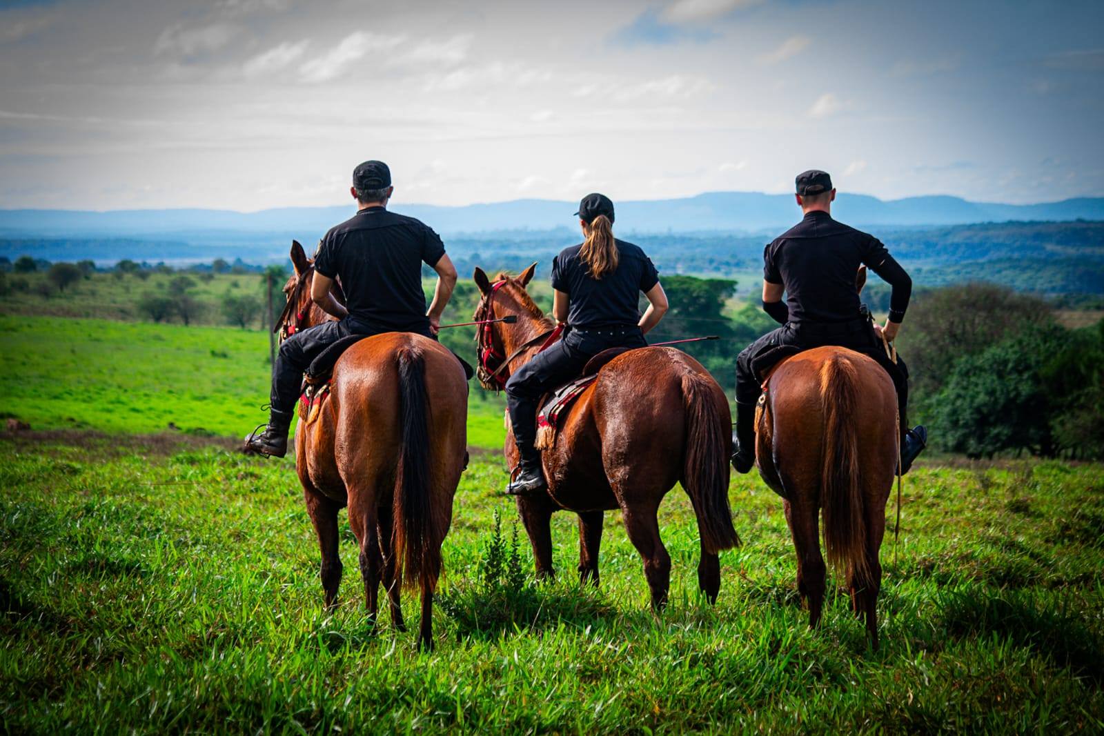 La Policía de Misiones multiplicó su capacidad operativa y redujo el índice delictivo anual imagen-25