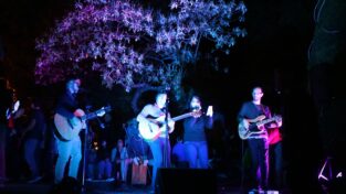 Oberá celebró la magia navideña con el encendido del árbol en el Centro Cívico imagen-8