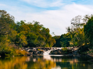 Verano en Andresito: conocé un paraíso escondido entre la selva y el río imagen-5