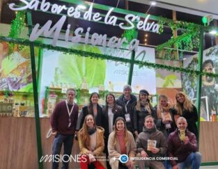 Misiones potencia su desarrollo industrial con empleo, innovación y sostenibilidad imagen-17