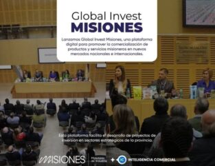 Misiones potencia su desarrollo industrial con empleo, innovación y sostenibilidad imagen-19