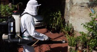 operativo contra el dengue