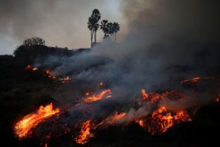 Estado de emergencia en California: 30 mil evacuados por incendios forestales imagen-12