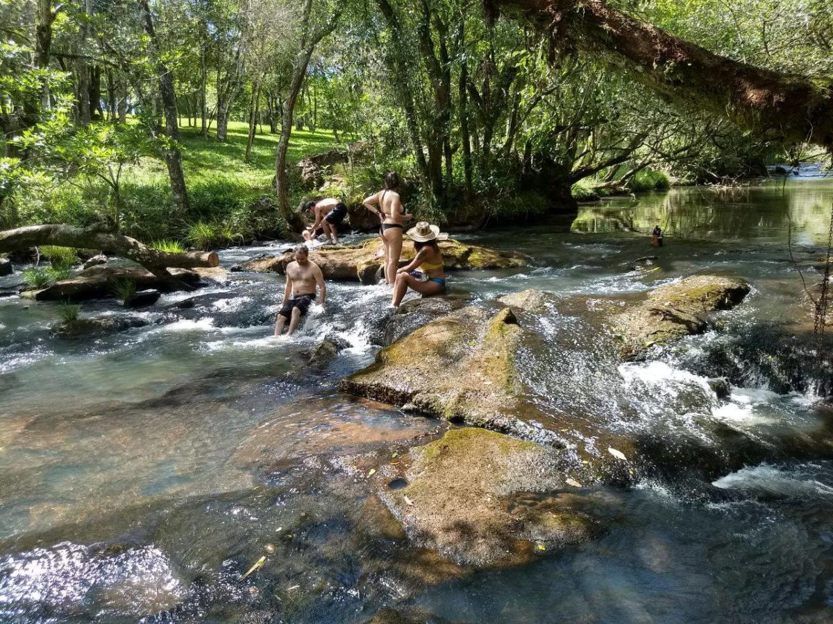 21 años de La Pacha: un refugio de arte, naturaleza y agroturismo en Misiones imagen-9