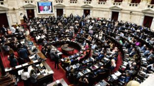 Diputados buscará obtener media sanción a Ficha Limpia imagen-5