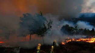 Se descontroló el incendio en El Bolsón: evacuaron a 700 familias imagen-8