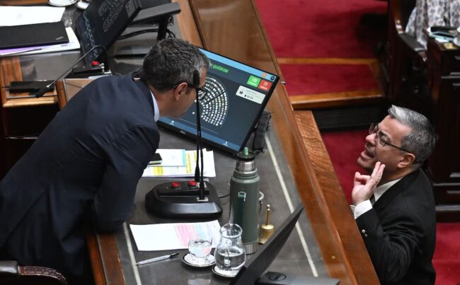 Fuerte cruce en el Congreso: Germán Martínez lo invitó a pelear a Menem imagen-5