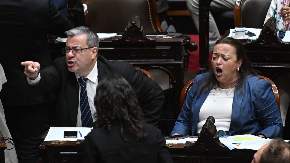 Fuerte cruce en el Congreso: Germán Martínez lo invitó a pelear a Menem imagen-7