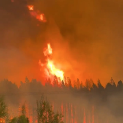 Se descontroló el incendio en El Bolsón: evacuaron a 700 familias imagen-12