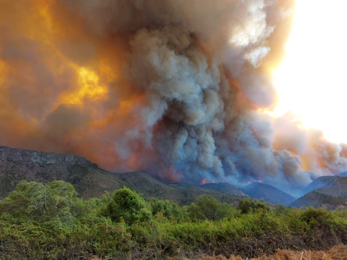 Se descontroló el incendio en El Bolsón: evacuaron a 700 familias imagen-10